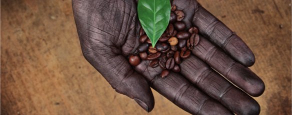 MO-Biofair koffie